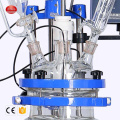 Mini Chemical 2l Jacketed Pilot Plant Reactors Price